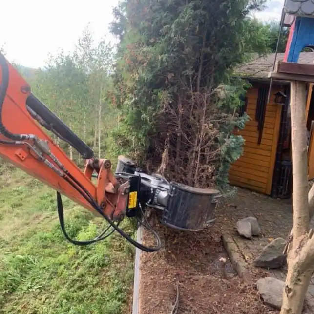 Rasentrimmen